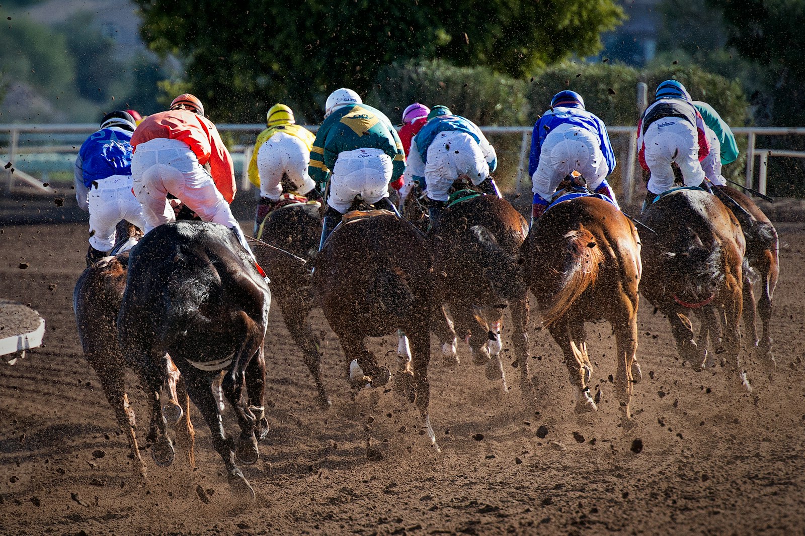 Why Del Mar's racing season changes your pricing